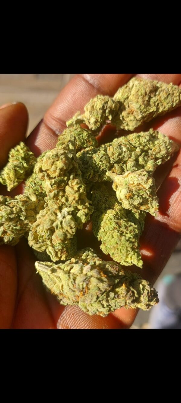 30g Greenhouse Special - Image 2