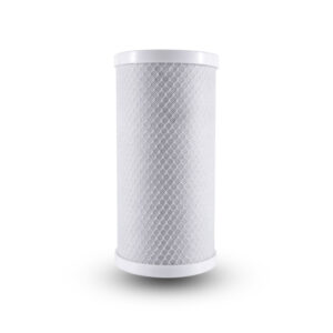 10″ BB CTO Filter