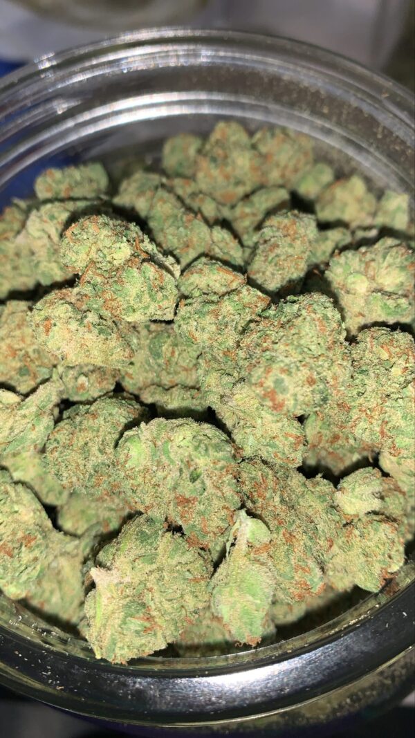 Exotic AA indoor Combo Deal - 20g (5g x4) - Image 3