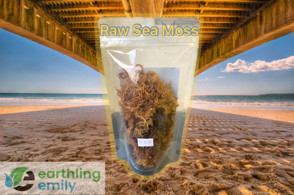 Raw Sea Moss 75g - Superfood - Image 3