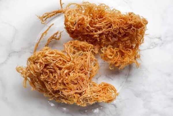Raw Sea Moss 75g - Superfood