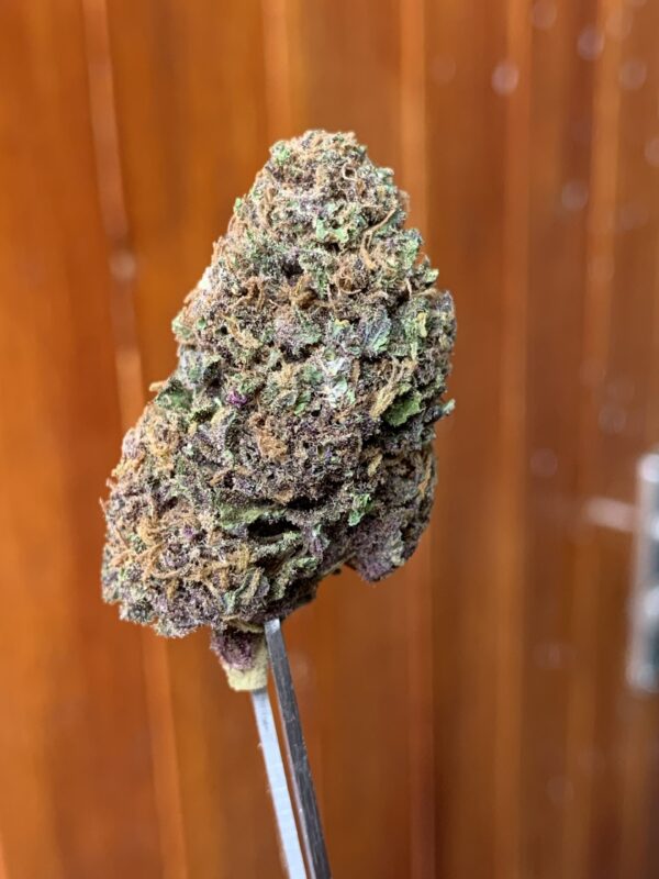 Cocktail Combo - 10g OUTDOOR||5g GREENDOOR||1g HYDRO INDOOR