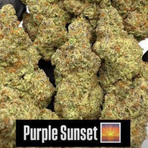 Purple Sunset Exotic Pops
