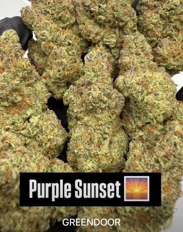 Purple Sunset AA Indoor