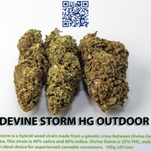 Devine Storm
