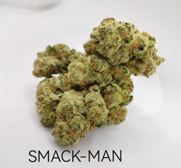 Smack Man AA Indoor