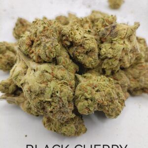 Black Cherry AA Indoor