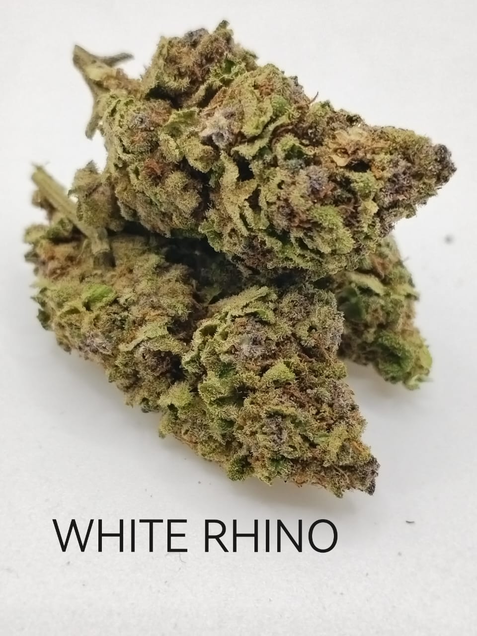 White Rhino Outdoor High Grade
