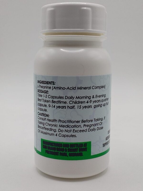 L-Theanine 60 capsules - Memory and Learning - Image 3